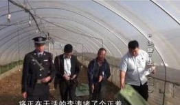 街头巷尾重播在线观看